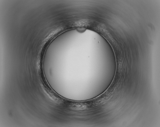 X0000112870443200909041624