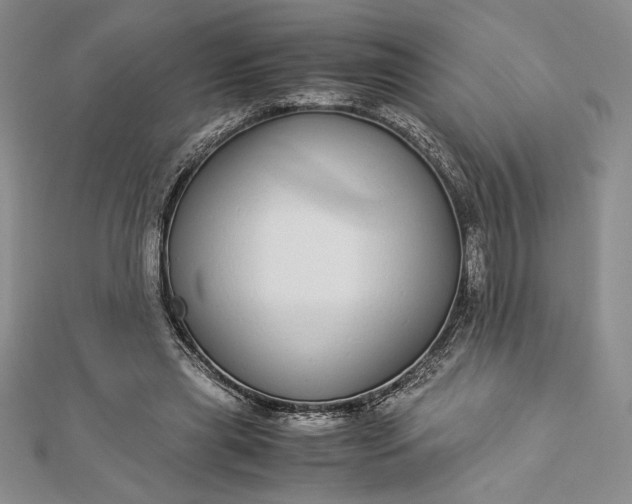 X0000112870445200909041624