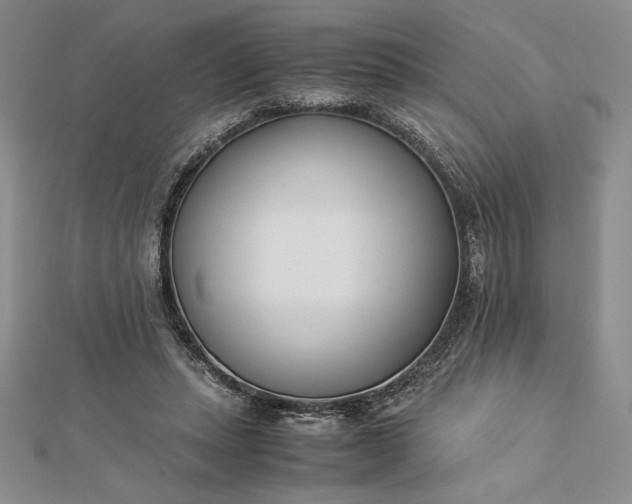 X0000112870447200909041624