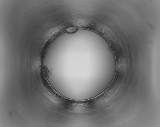 X0000112870448200909041624