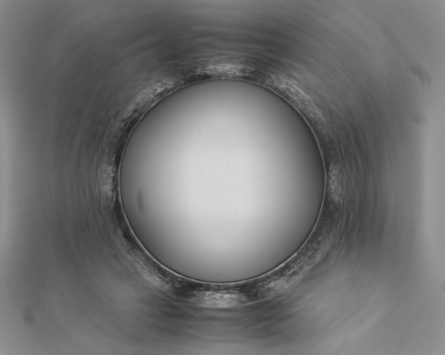 X0000112870449200909041624