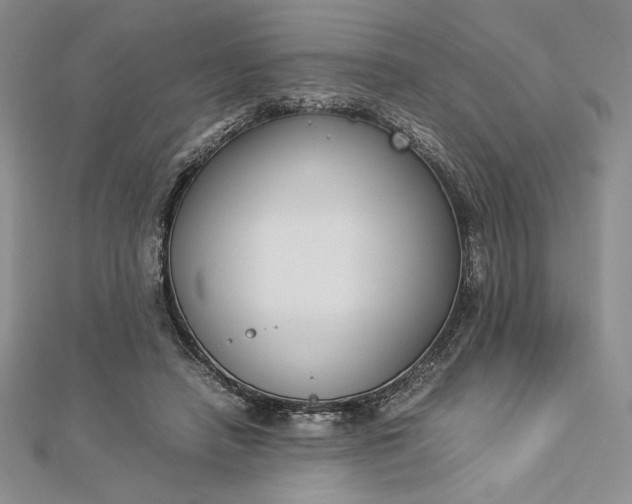 X0000112870450200909041624