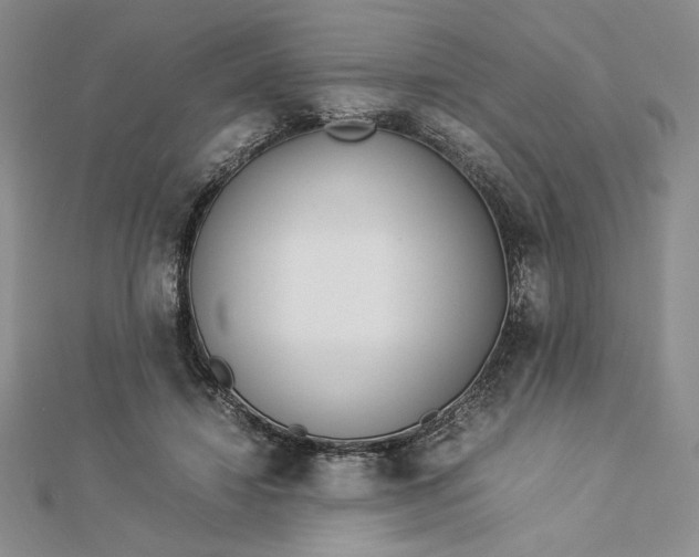 X0000112870452200909041624