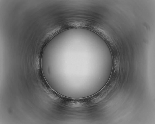 X0000112870453200909041624