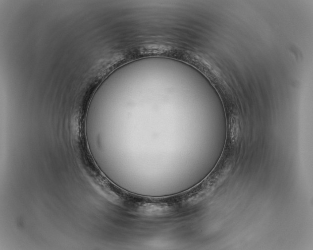 X0000112870455200909041624