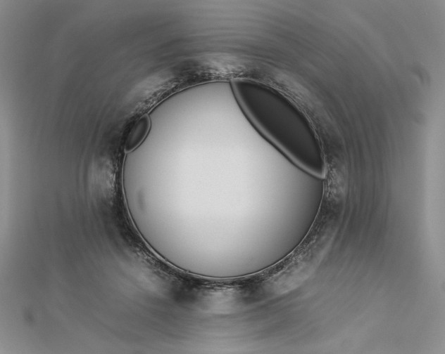 X0000112870456200909041624