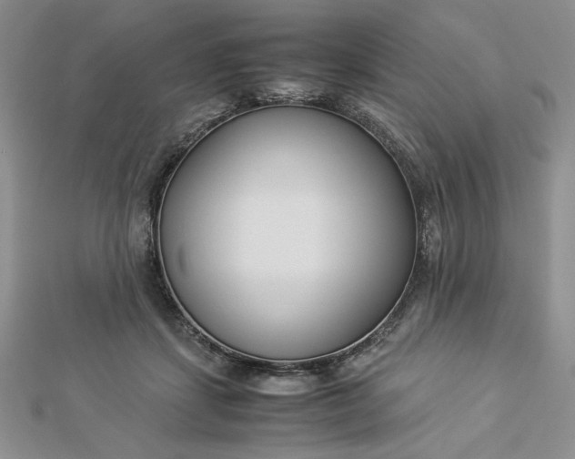 X0000112870459200909041624