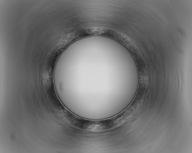 X0000112870460200909041624