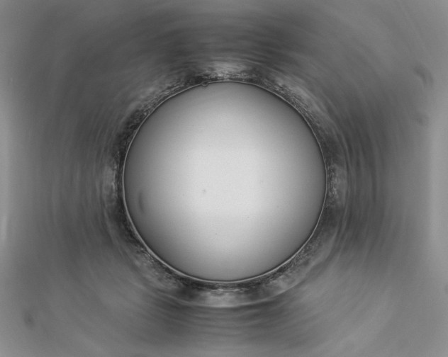 X0000112870461200909041624