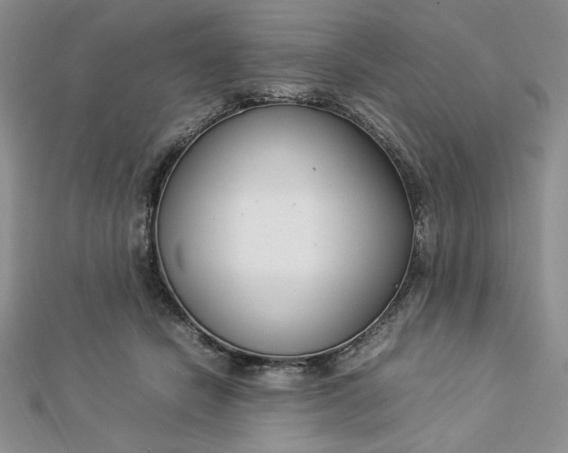 X0000112870462200909041624