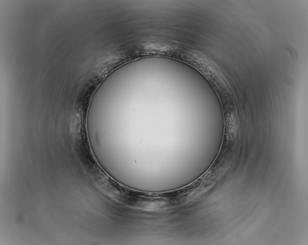 X0000112870463200909041624