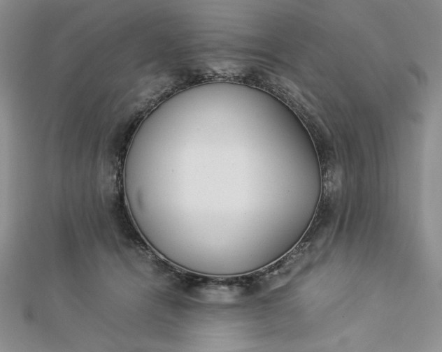 X0000112870464200909041625