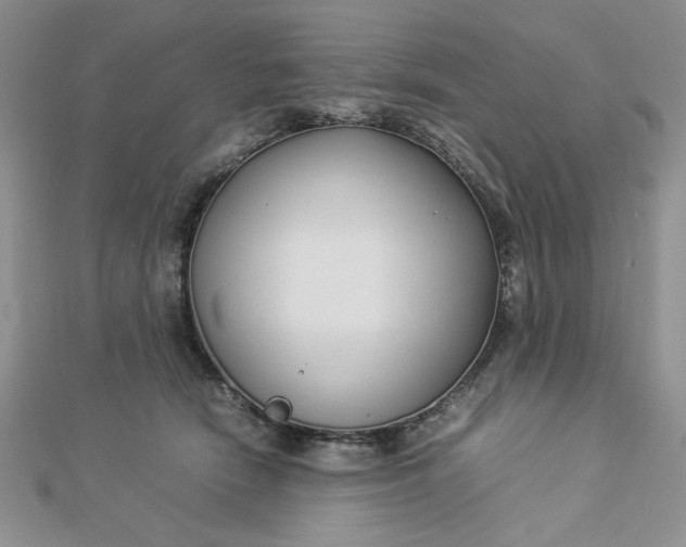 X0000112870466200909041625