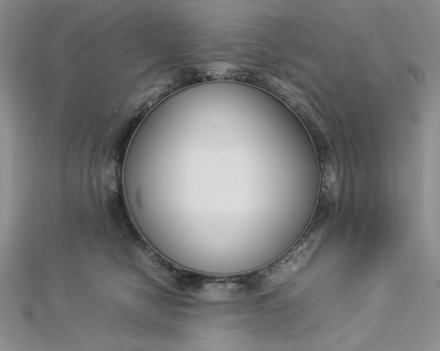 X0000112870470200909041625