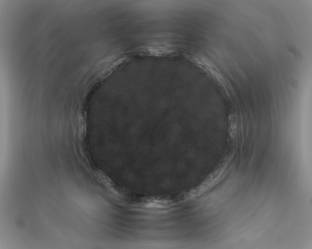 X0000112870471200909041625