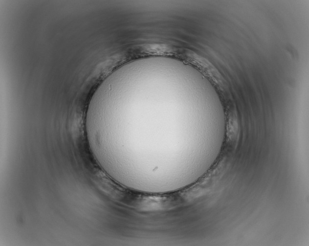 X0000112870473200909041625