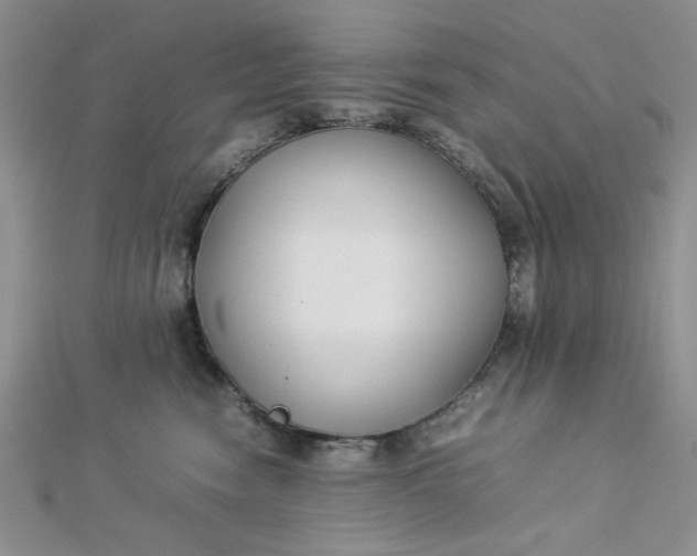 X0000112870474200909041625