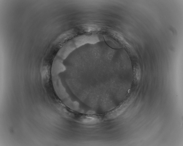 X0000112870475200909041625