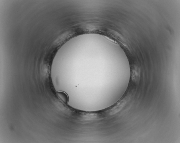 X0000112870476200909041625