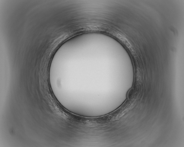 X0000112870481200909041624