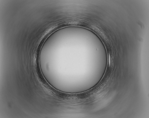 X0000112870483200909041624