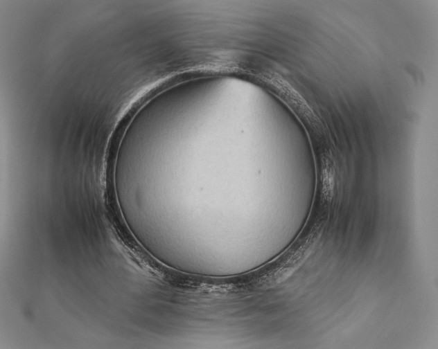 X0000112870484200909041624