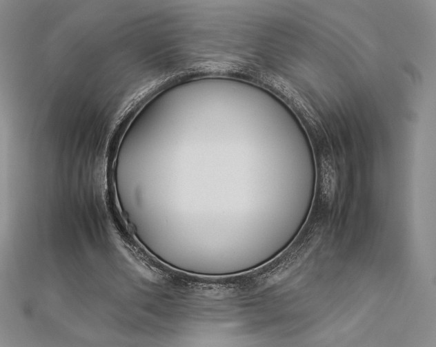 X0000112870486200909041624