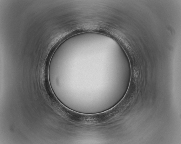 X0000112870487200909041624