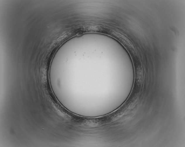 X0000112870489200909041624