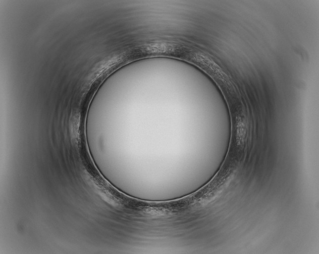 X0000112870490200909041624