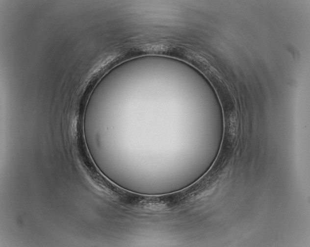 X0000112870491200909041624