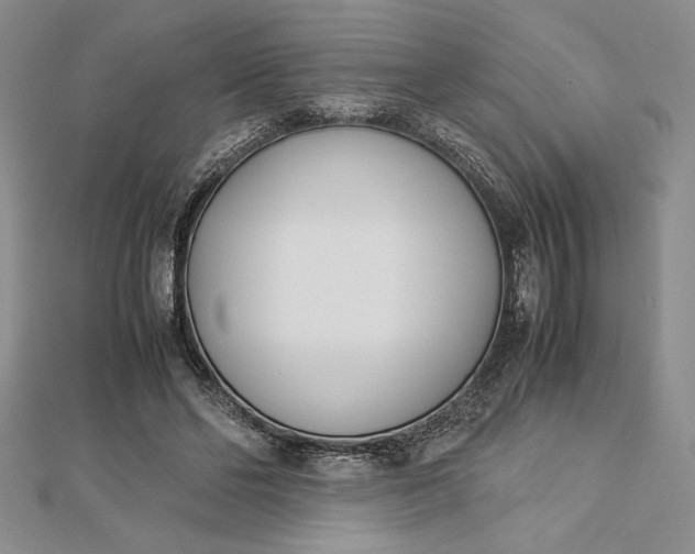 X0000112870494200909041624