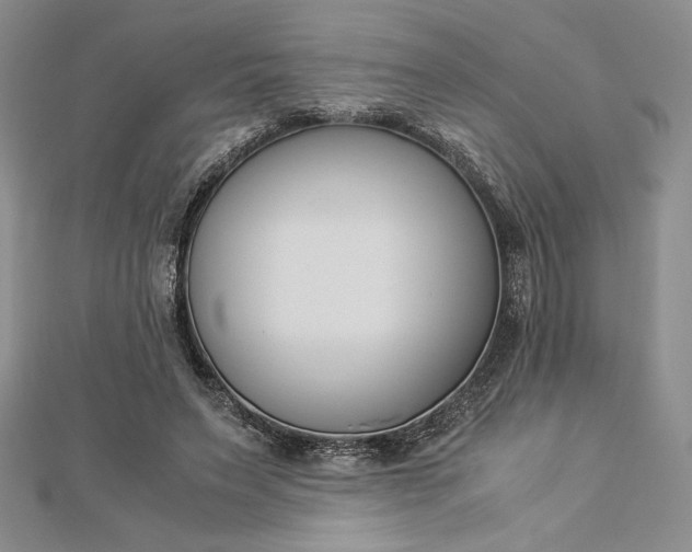 X0000112870495200909041624