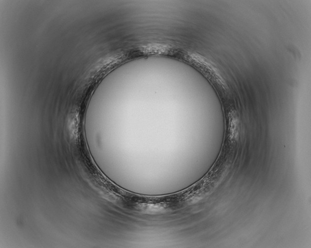 X0000112870498200909041624