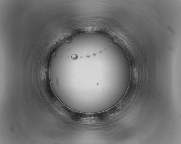 X0000112870499200909041624