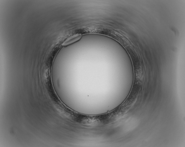 X0000112870503200909041624