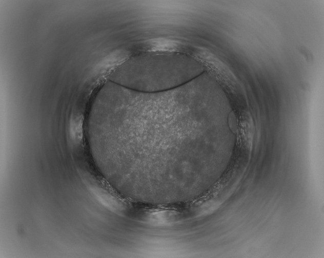 X0000112870504200909041624