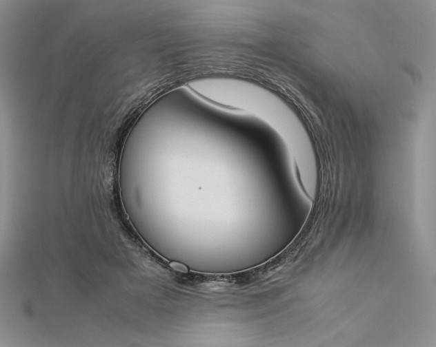 X0000112870505200909041624