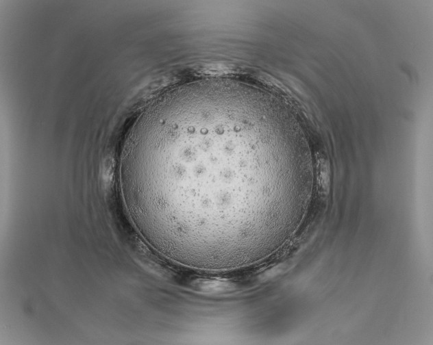 X0000112870507200909041624