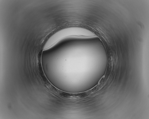 X0000112870508200909041624