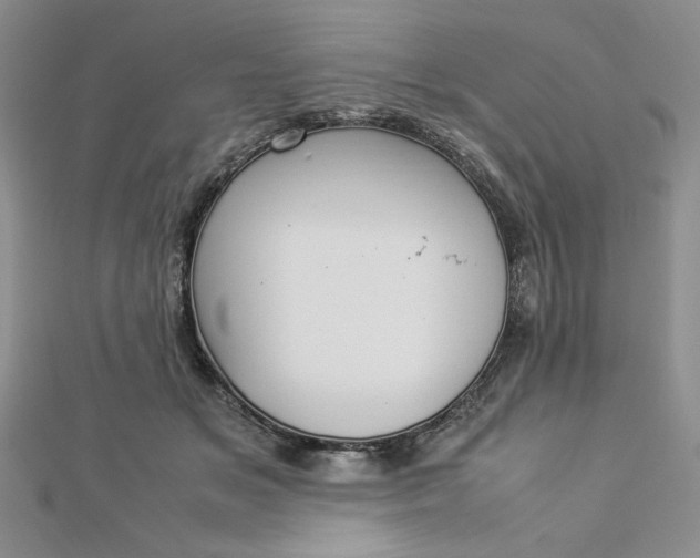 X0000112870509200909041624