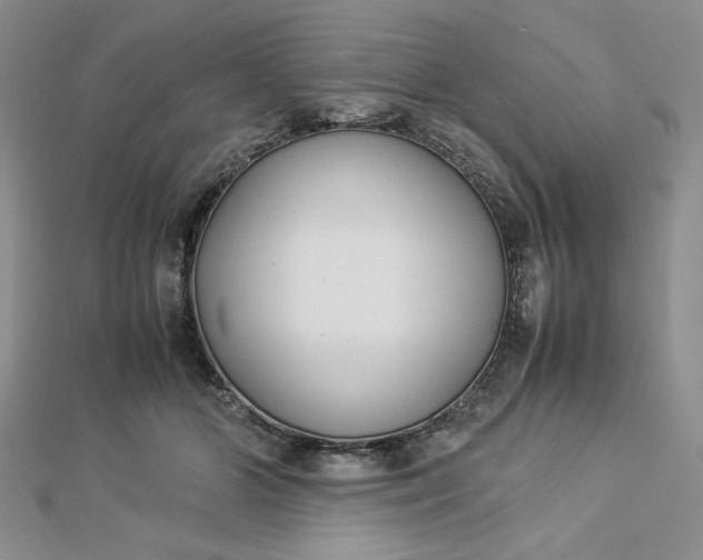 X0000112870510200909041624