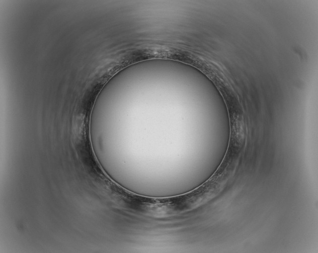 X0000112870511200909041624