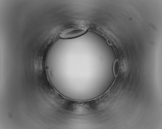 X0000112870512200909041624