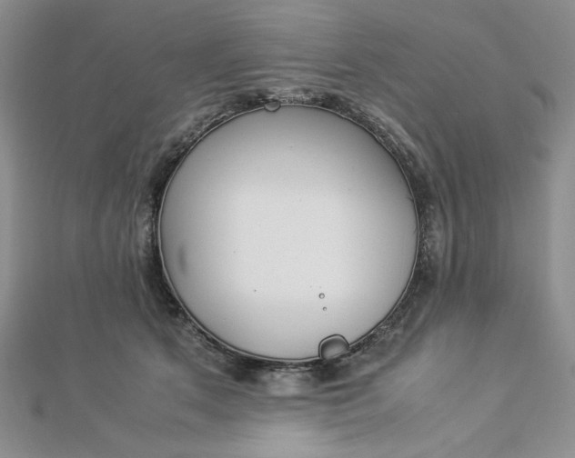 X0000112870513200909041624