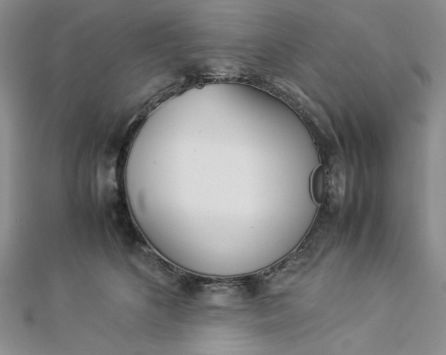 X0000112870516200909041624