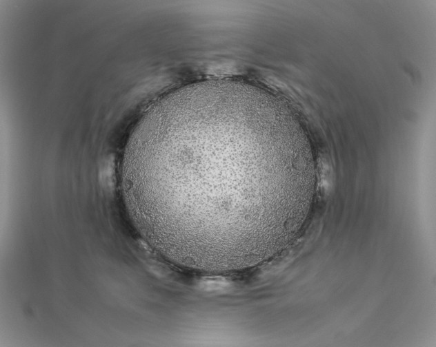 X0000112870519200909041624