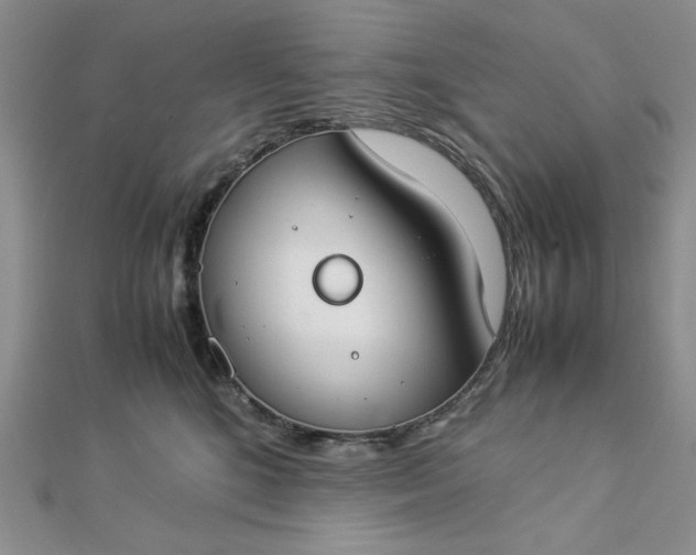 X0000112870520200909041624