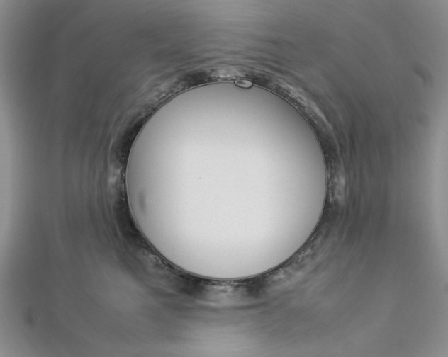 X0000112870521200909041624