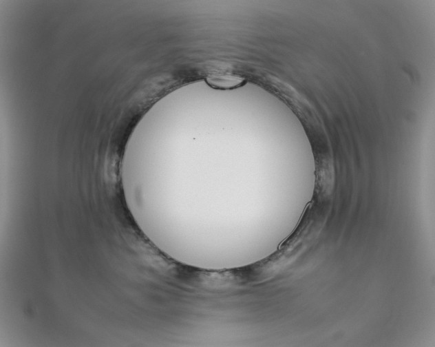 X0000112870525200909041624